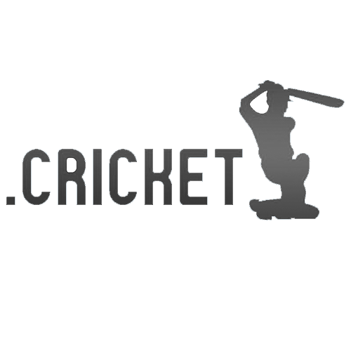 Зарегистрировать домен в зоне .cricket