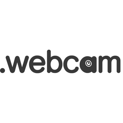 Зарегистрировать домен в зоне .webcam